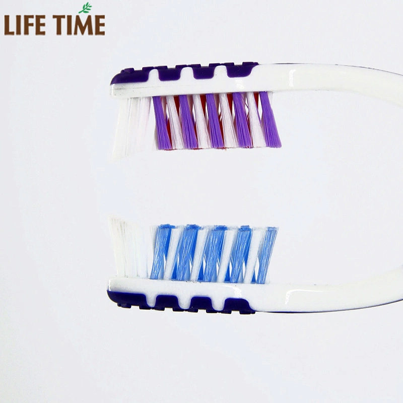 OEM Adult Toothbrush Premium Soft Bristle Personal Care Toothbrush